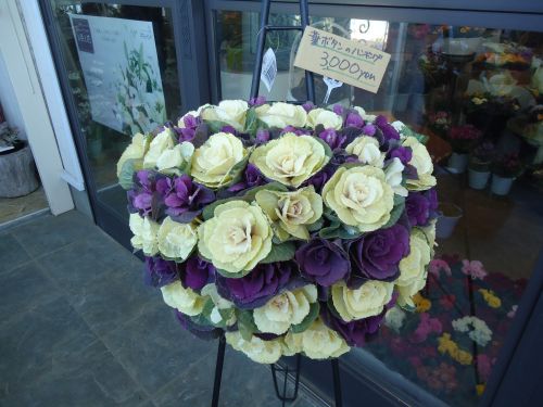 画像の名前を入力