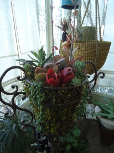 画像の名前を入力