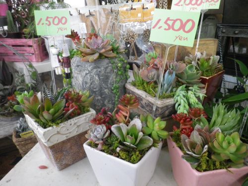 画像の名前を入力