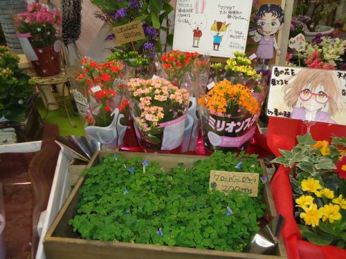 画像の名前を入力