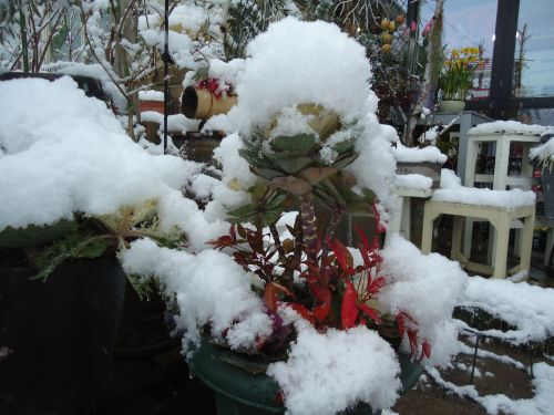 画像の名前を入力