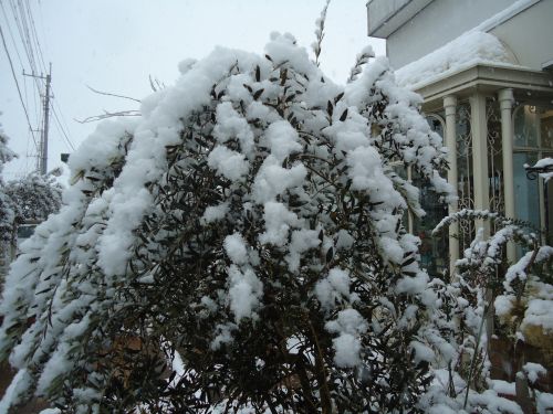 画像の名前を入力