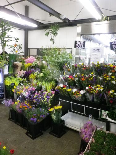 画像の名前を入力