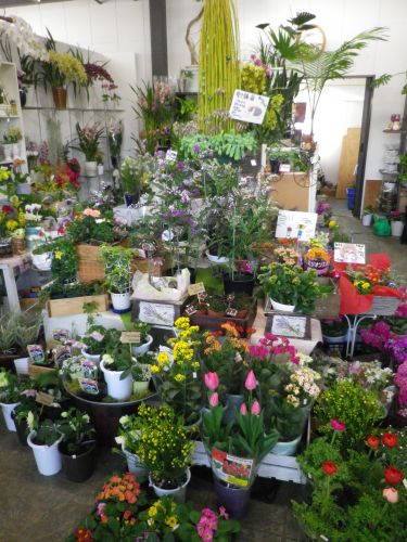 画像の名前を入力