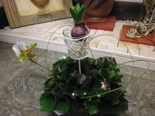 画像の名前を入力