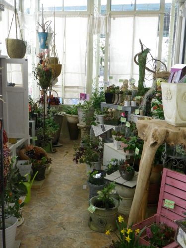 画像の名前を入力