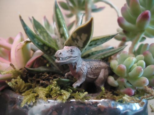 画像の名前を入力