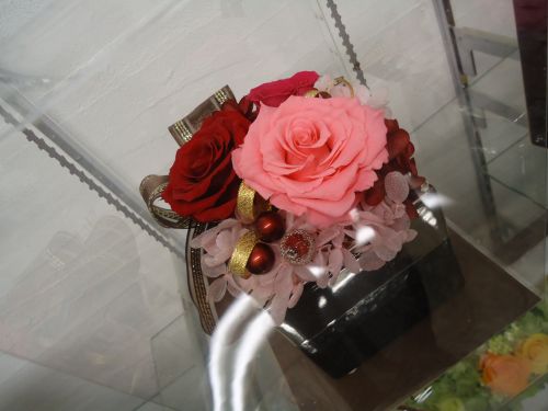 画像の名前を入力