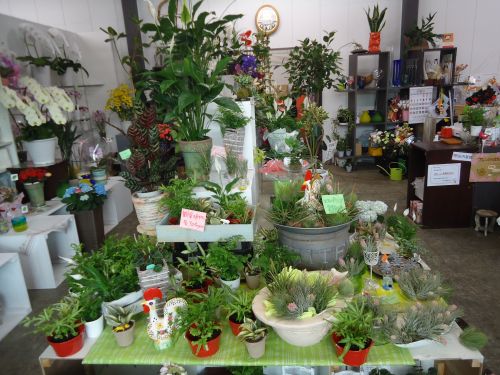 画像の名前を入力