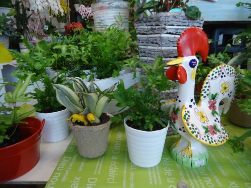 画像の名前を入力