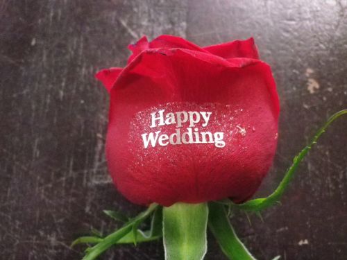 画像の名前を入力