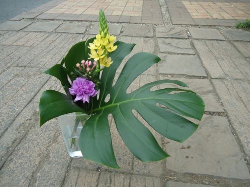 画像の名前を入力