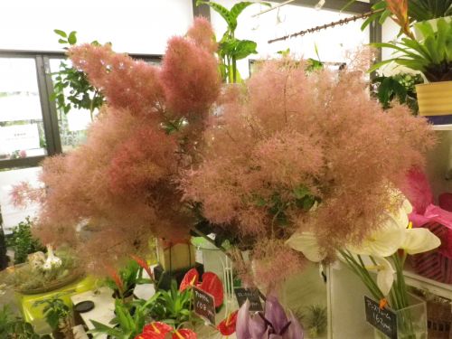 画像の名前を入力