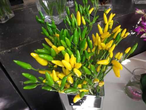 画像の名前を入力