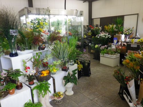 画像の名前を入力