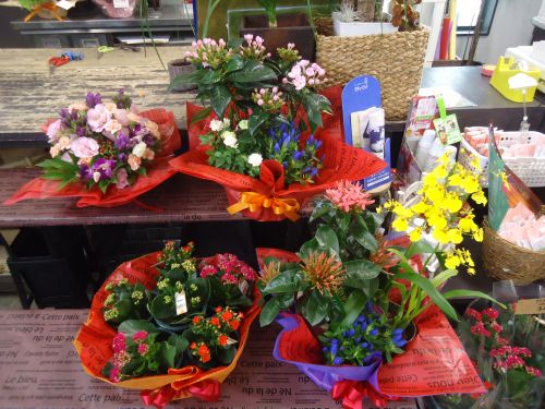 画像の名前を入力