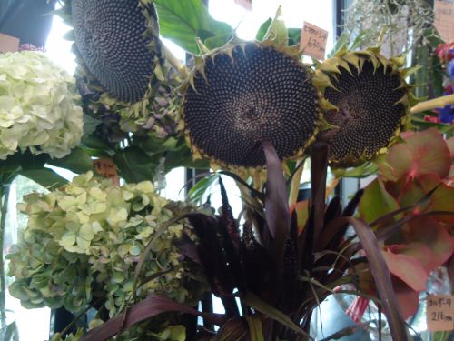 画像の名前を入力