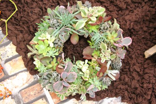 画像の名前を入力