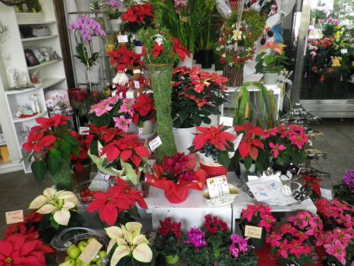 画像の名前を入力