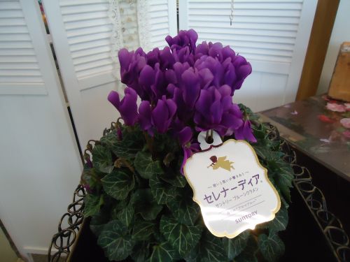 画像の名前を入力