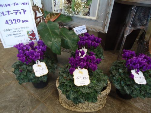 画像の名前を入力