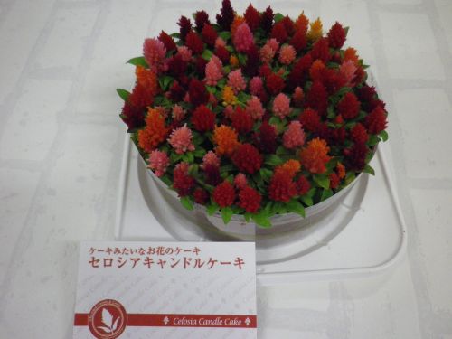 画像の名前を入力