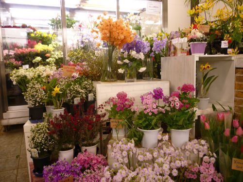 画像の名前を入力