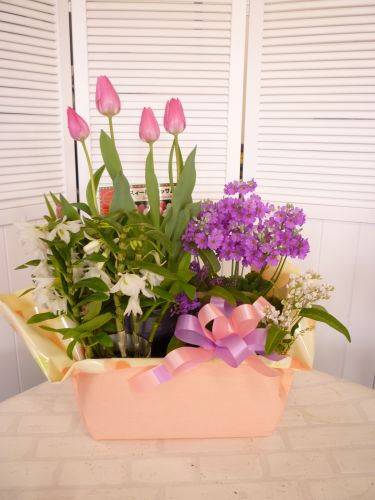 画像の名前を入力