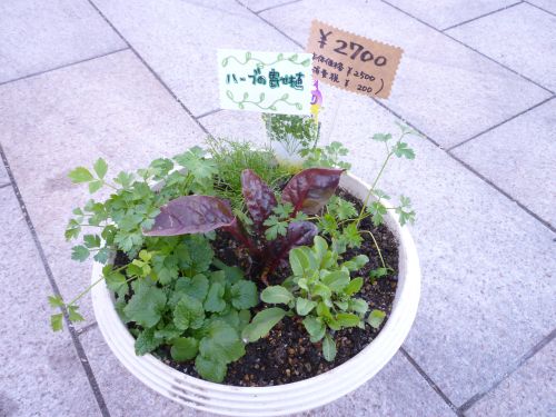 画像の名前を入力