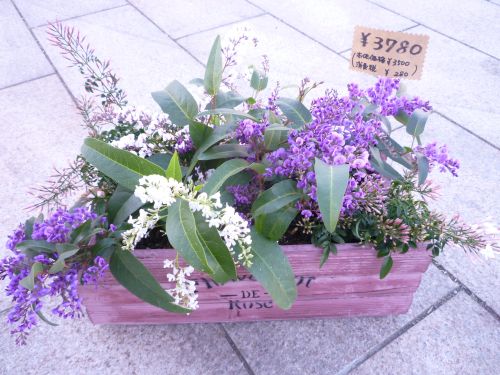 画像の名前を入力