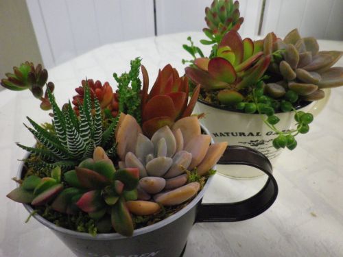 画像の名前を入力