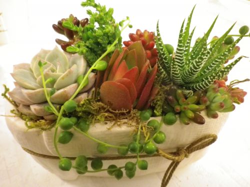 画像の名前を入力