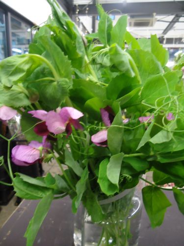 画像の名前を入力