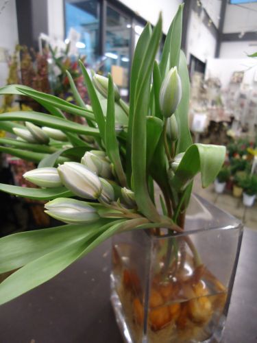 画像の名前を入力