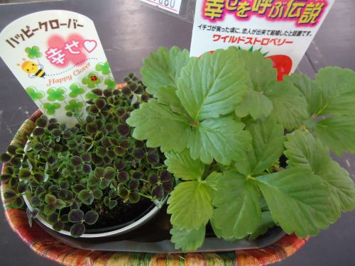 画像の名前を入力