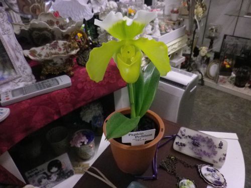 画像の名前を入力