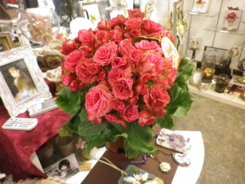 画像の名前を入力