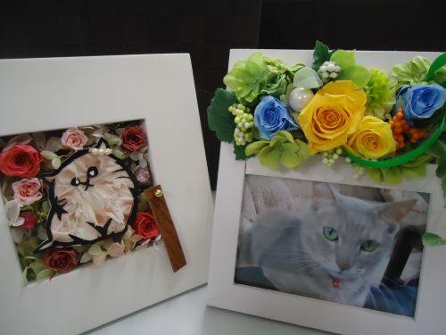 画像の名前を入力