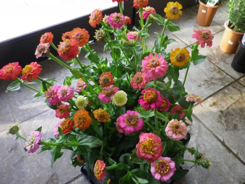 画像の名前を入力