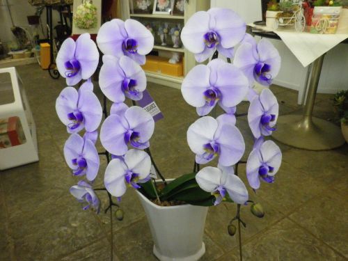 画像の名前を入力