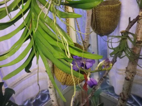 画像の名前を入力