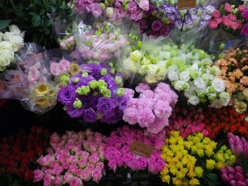 画像の名前を入力