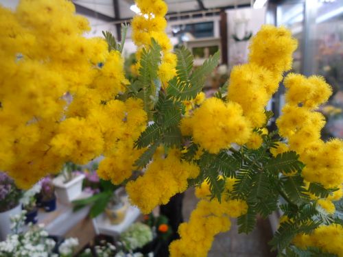 画像の名前を入力