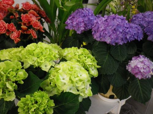 画像の名前を入力