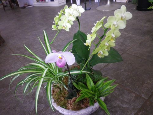 画像の名前を入力