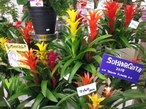 画像の名前を入力