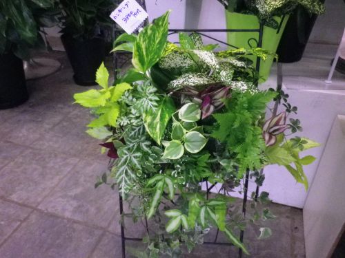 画像の名前を入力