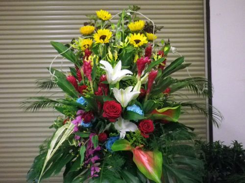 画像の名前を入力