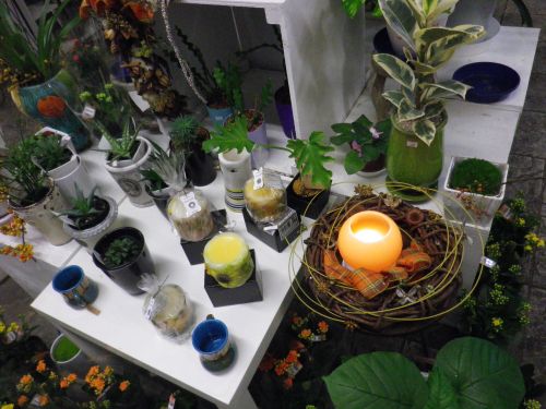 画像の名前を入力