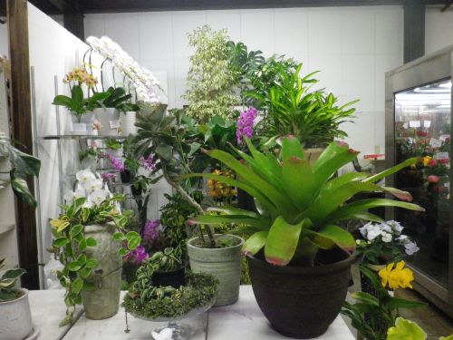 画像の名前を入力